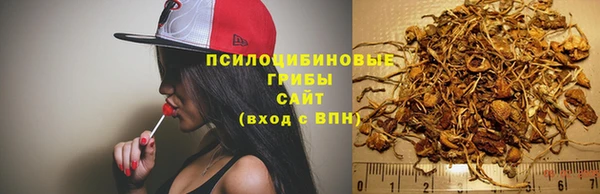 марки nbome Горнозаводск